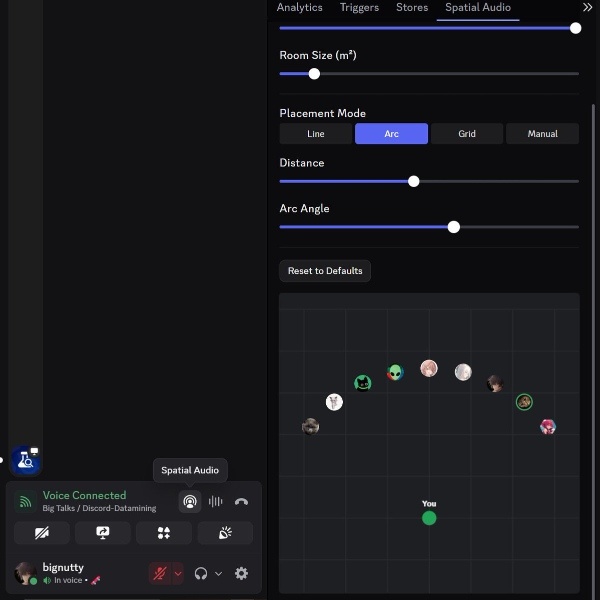 Discord Spatial Audio.