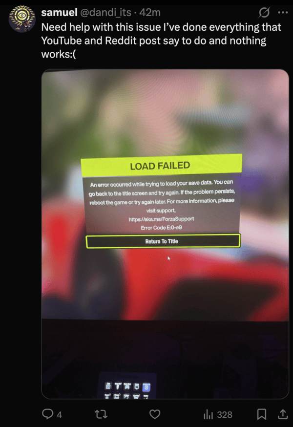 Forza Horizon not working.