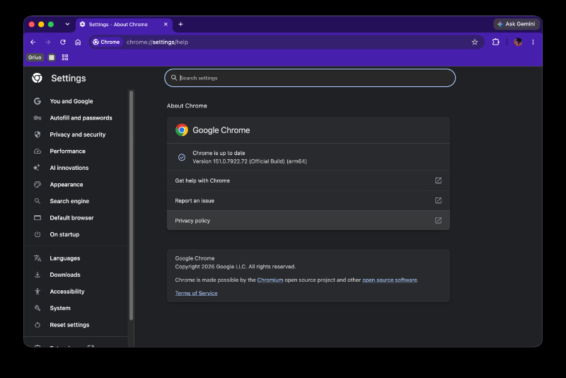 Chrome latest update screenshot.