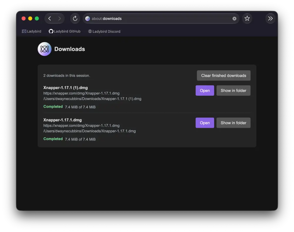ladybird-browser-download-manager