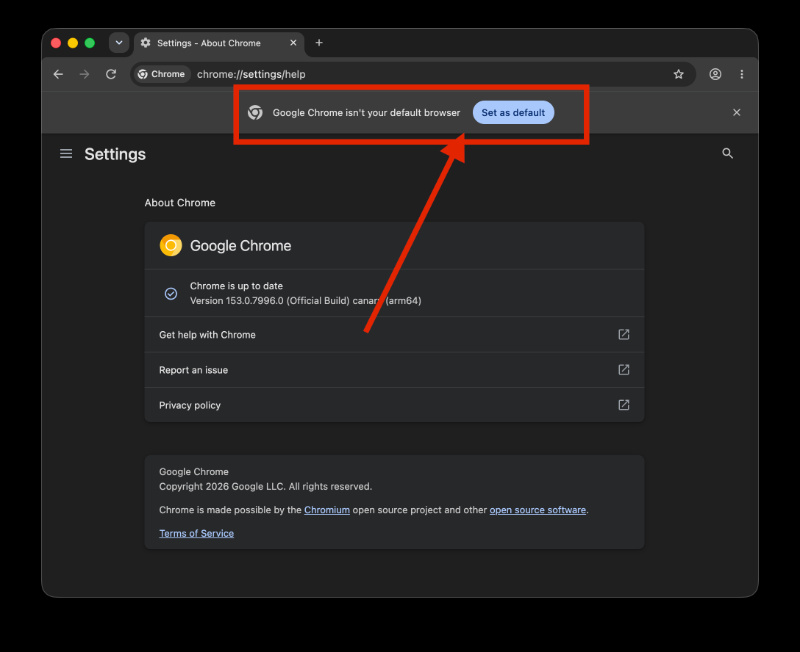 Chrome Canary.