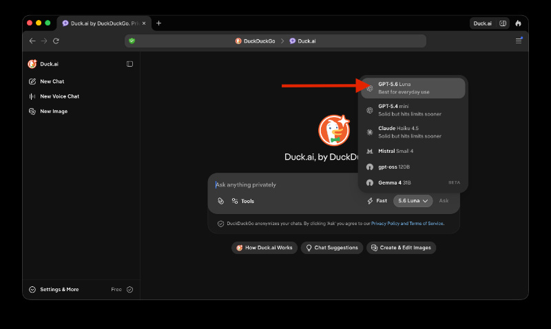 DuckDuckGo models.