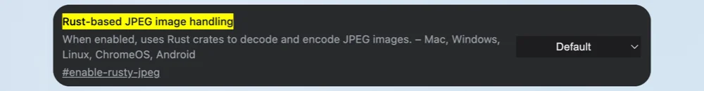 rust-jpeg-image-handling-flag