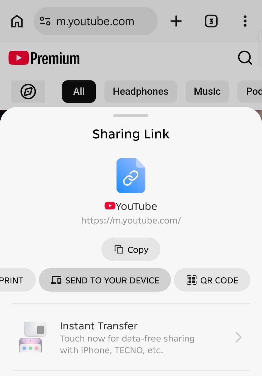 Chrome tab share page.