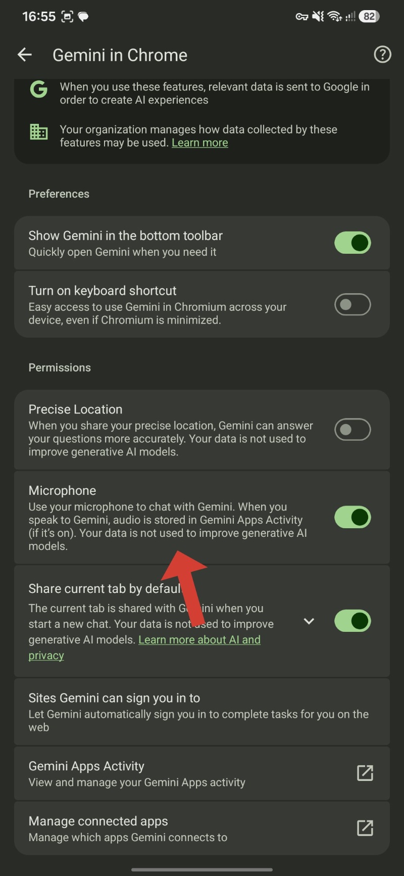 Microphone permissions toggle.