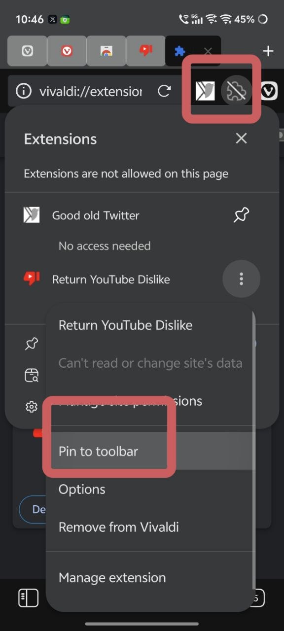 Pin/Unpin extensions.