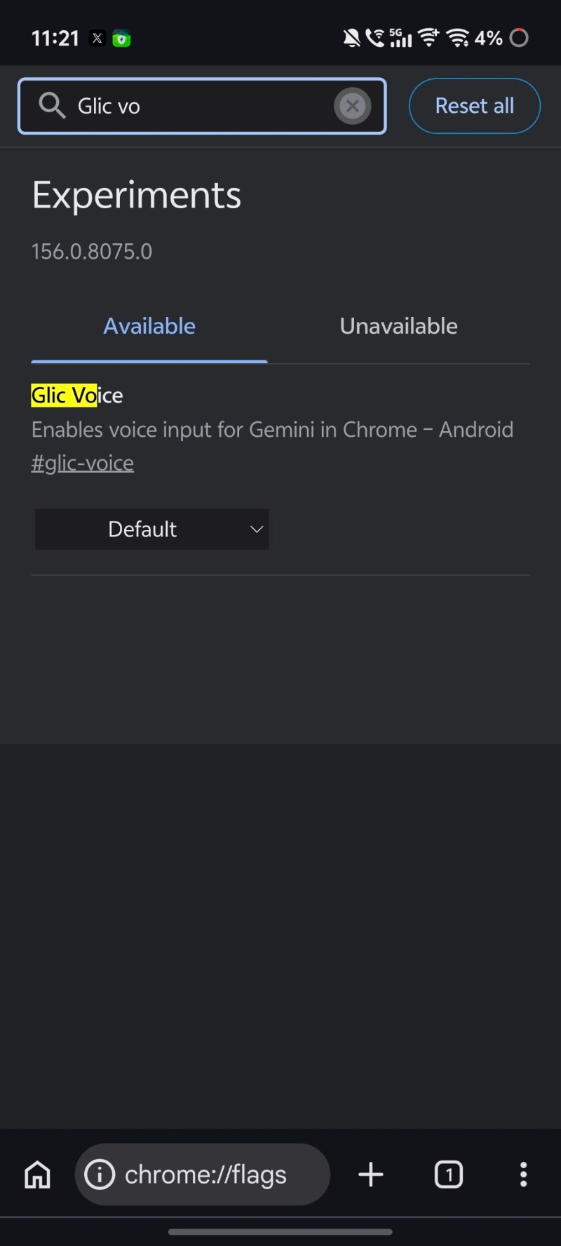 Voice input flag for Gemini.