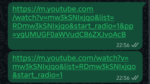 Difference between copied URLs.