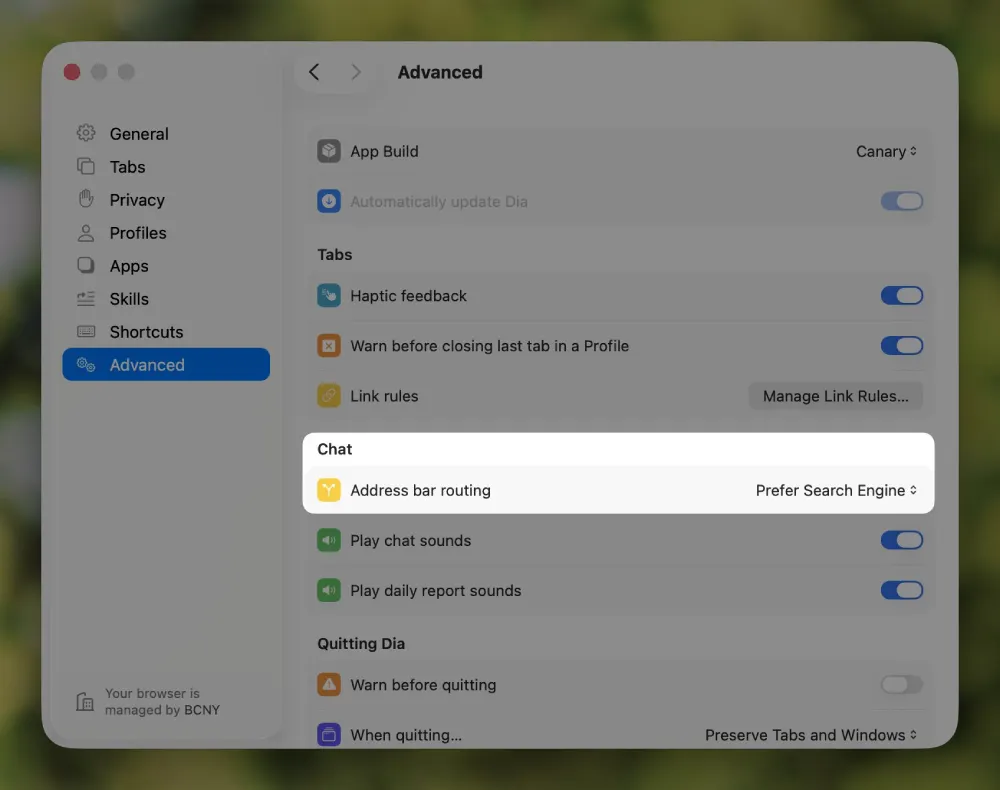 dia-browser-leaked-new-settings-page